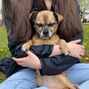 Meet your Posher, Gracie